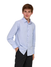 Сорочка BROSTEM 4LBD14 BIG гол